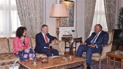 شكري يؤكد استمرار دعم مصر لـ 