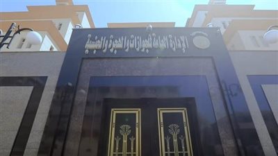 جواز السفر وشهادة التحركات أبرزها.. 13 خدمة لمصلحة الجوازات احصل عليها من منزلك 