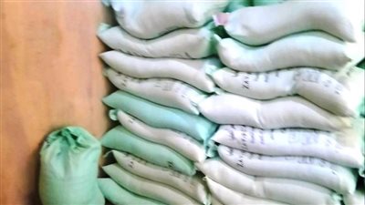 ضبط 3 أطنان دقيق بلدى قبل بيعهم بالسوق السوداء في أسوان | صور