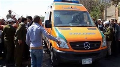 انتداب الطب الشرعي لبيان سبب وفاة طفل في حادث بطريق البدرشين