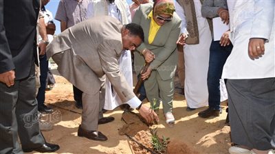 بزراعة شجرة زيتون.. محافظ مطروح يطلق شارة بدء المبادرة الرئاسة ١٠٠ مليون شجرة |صور