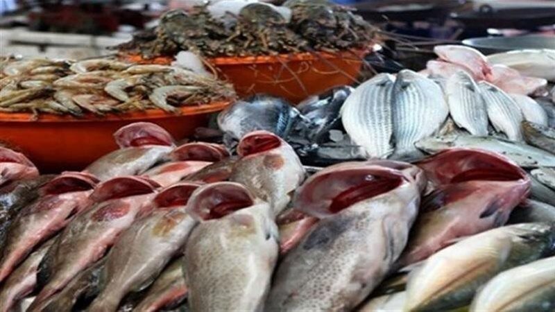 اسعار الاسماك بمحافظة