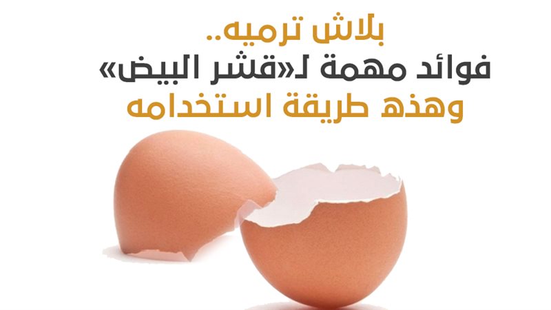 فوائد قشر البيض