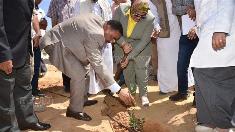 جانب من الفاعلية