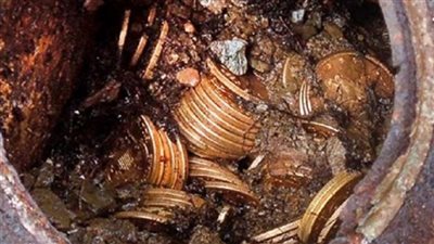 أردني يعثر على كنز ثمين.. ما القصة؟