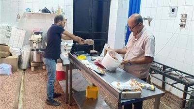 صحة القليوبية: ضبط 126 كيلوجرام برجر غير صالح للاستهلاك الآدمي