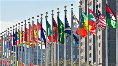 الذهاب للسفارة أم القنصلية؟ تعرف على الفرق بين والسفير والقنصل في قانون الدبلوماسية