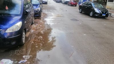 سقوط أمطار متوسطة على طنطا | صور