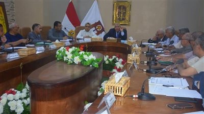 محافظ الوادي الجديد يُرجئ قرارات سحب أراضي المستثمرين المتقاعسين 6 أشهر