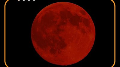 مالا تعرفه عن قمر الذرة بدر صفر | إنفوجراف