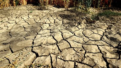 دراسة مناخية تتوقع حدوث جفاف في نصف الكرة الشمالي كل 20 عامًا