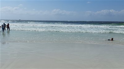 تعرف على نوة غسيل البلح بالإسكندرية وإجراءات المحافظة لحماية المواطنين |صور 