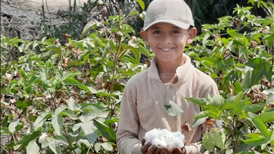 الورد اللي فتح في حقول القطن.. محمد يتخلى عن 