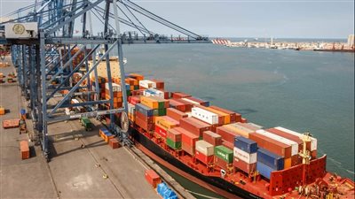 تداول 28 سفينة بضائع متنوعة داخل ميناء دمياط 