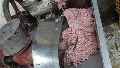 صحة الشرقية تغلق مجزرا مخالفا 