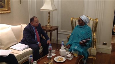 وزير المالية: التوسع في المشروعات الخضراء لمكافحة التغيرات المناخية