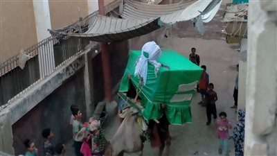 احتفالا بليلة السيوطي.. شباب يحملون 