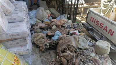 ضبط 2 طن لحمة رأس وأحشاء فاسدة داخل ثلاجات مواد غذائية بسوهاج |صور
