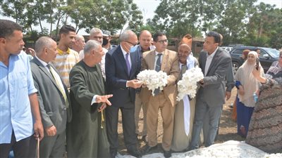 احتفالا بعيد الفلاح.. محافظ القليوبية يشهد جني محصول القطن ببنها | صور