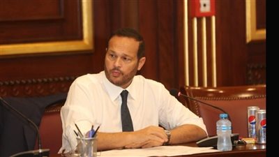 النائب محمد حلاوة: مصر تواجه حملات تشويه مأجورة ورسائل الرئيس السيسي اليوم تؤكد مواصلة مسيرة البناء رغم الظروف الدولية الصعبة