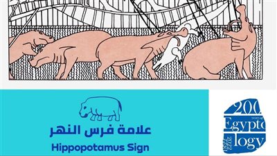 كنز في محافظتك.. تعرف على علامة فرس النهر رمز الأمومة