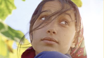 فيلم Under the Fig Trees يمثل تونس في الأوسكار 