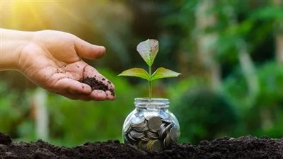 كيف يقلل الاقتصاد الأخضر من الفجوة بين الأغنياء والفقراء في المجتمع؟