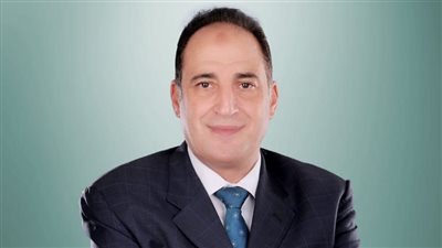 أيمن هيبة: مصر ستكون من أهم مراكز تصدير الطاقة للعالم