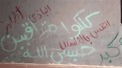 كلكم متراقبين.. تصرف مثير للمتهم بقتل ترزي داخل مسجد بالدقهلية قبل الواقعة | فيديو