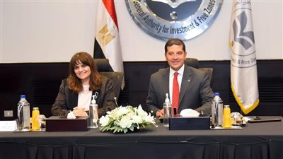 وزيرة الهجرة: إنشاء شركة مساهمة للمصريين بالخارج وطرح أسهم لهم بالمشروعات القومية