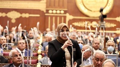  نائبة بالشيوخ تطالب بالعمل على تعزيز دور أجهزة الوعي بالدولة لمواجهة الشائعات