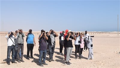 البيئة تنظم برنامجا لإعداد الكوادر الوطنية في حماية الطيور المهاجرة