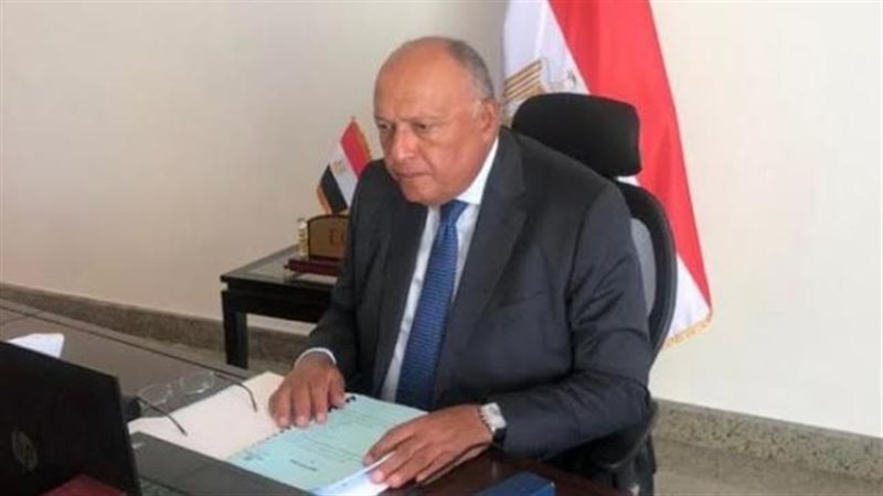سامح شكري وزير الخارجية