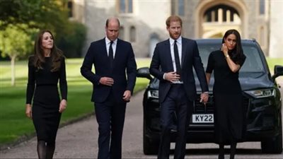 رسالة لنفي الشائعات.. جولة نادرة للأمير هاري وزوجته برفقة ويليام وكيت