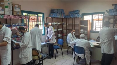 الكشف على 808 مرضى في قافلة علاجية بالروضة في الدقهلية 