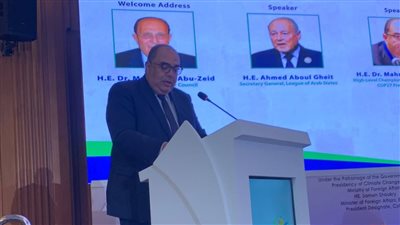 رائد المناخ للرئاسة يكشف أهمية أسواق الكربون في تعزيز الاقتصادات الأفريقية 