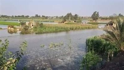 مجلس مدينة أشمون يحذر مزارعي طرح النهر 