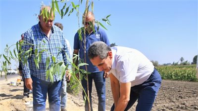 محافظ الغربية: زراعة 30 ألف شجرة منذ بدء المبادرة الرئاسية |صور 