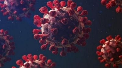 5 نصائح لحماية الطلاب من فيروس كورونا عند تناول الوجبة المدرسية 