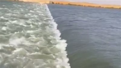 هايدي فاروق : تدفق مياه النيل بمفيض توشكى بعد جفافه | فيديو