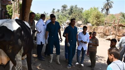 قافلة بيطرية تفحص وتعالج 253 حالة من أبقار وجاموس وأغنام في سوهاج | صور