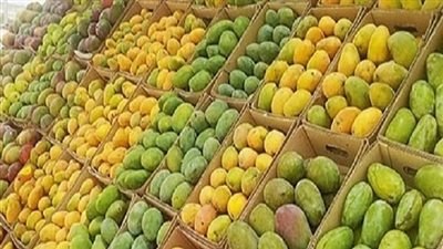 أسعار 12 صنفا من المانجو اليوم السبت في سوق العبور 