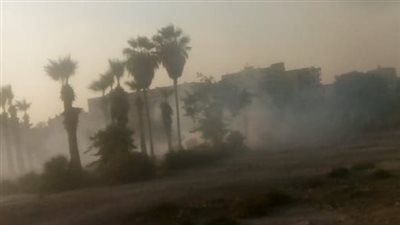 حريق داخل حديقة 6 أكتوبر بحلوان.. اعرف السبب | صور