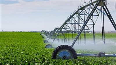 زراعة الوادي الجديد تواصل المرور على المصائد الفرمونية