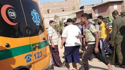 حادث تصادم بالدقهلية يسفر عن مصرع طالبين 