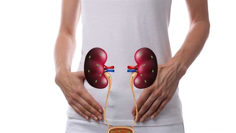 أعراض التهاب المسالك