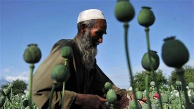 منها الأفيون والتهريب.. تعرف على مصادر أموال حركة طالبان 