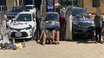 حملة أمنية تضبط مخدرات بقيمة 5 ملايين جنيه 