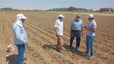  تدريب مسئولى الحيازات بالجمعيات الزراعية في الوادي الجديد