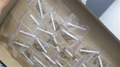 ضبط 3 محاولات تهريب طوابع وبذور ماريجوانا بجمارك مطار القاهرة